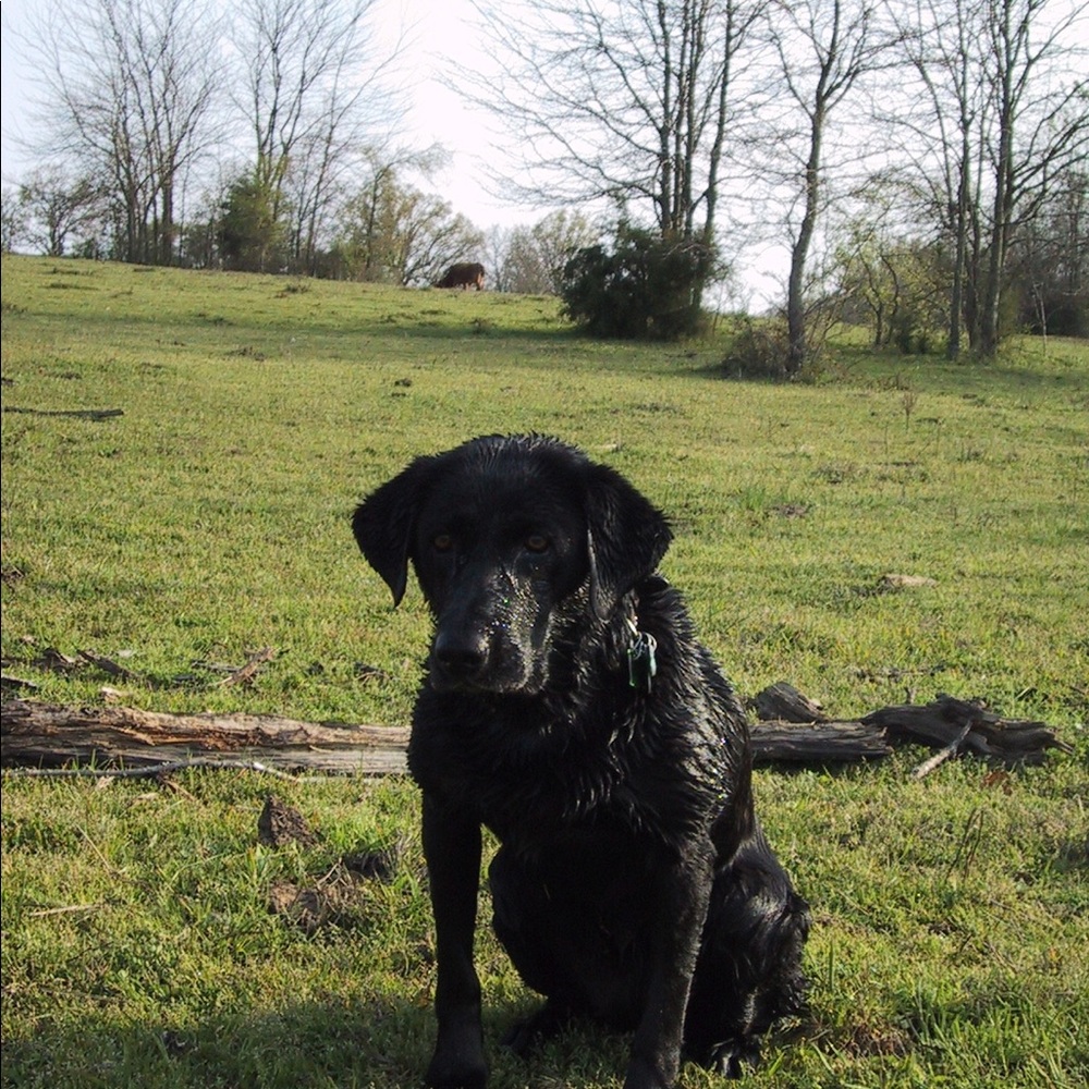 Meet your Posher, Jack